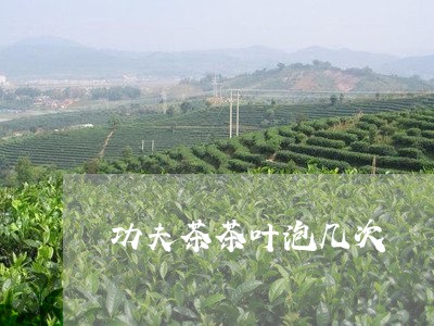 功夫茶茶叶泡几次/2023032650594