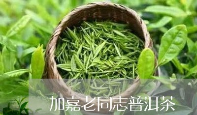 加嘉老同志普洱茶/2023041373806