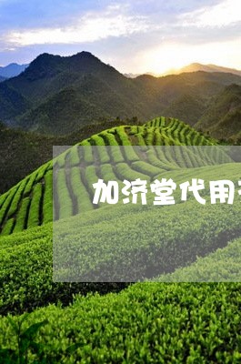 加济堂代用茶怎么喝/2023031957271