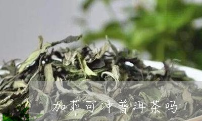 加菲可冲普洱茶吗/2023033095259