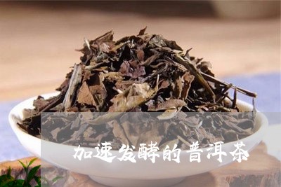 加速发酵的普洱茶/2023031871716