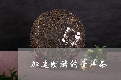 加速发酵的普洱茶/2023041396370