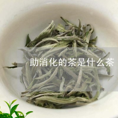 助消化的茶是什么茶/2023041536257