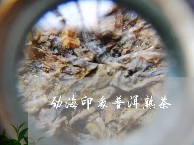 劲海印象普洱熟茶/2023033004171