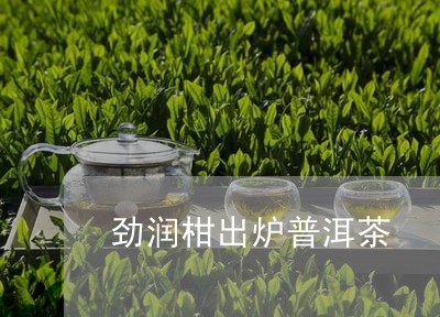 劲润柑出炉普洱茶/2023041219374