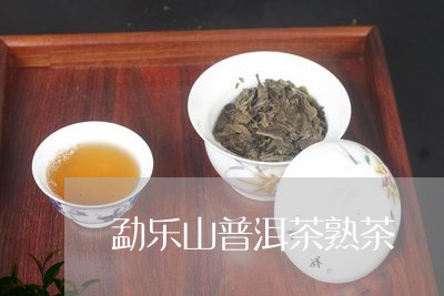 勐乐山普洱茶熟茶/2023041239279