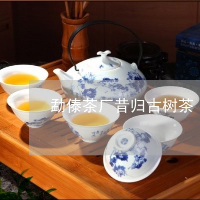 勐傣茶厂昔归古树茶/2023032246250