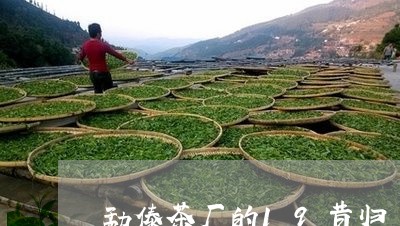 勐傣茶厂的19昔归/2023041470514