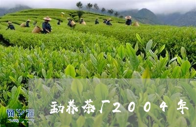 勐养茶厂2004年/2023041652704