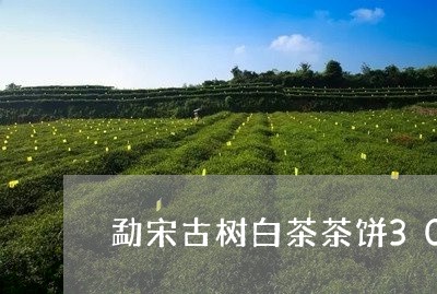 勐宋古树白茶茶饼300克/2023033141694