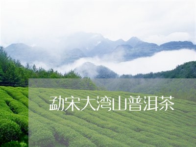 勐宋大湾山普洱茶/2023033053624