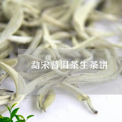 勐宋普洱茶生茶饼/2023041229726