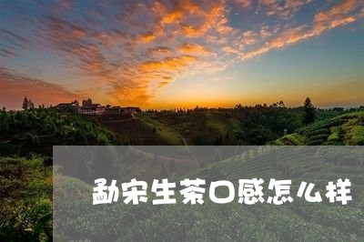 勐宋生茶口感怎么样/2023032226150