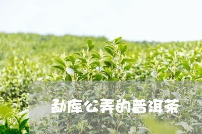 勐库公弄的普洱茶/2023033122516