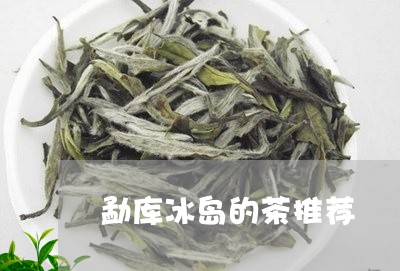 勐库冰岛的茶推荐/2023032862605