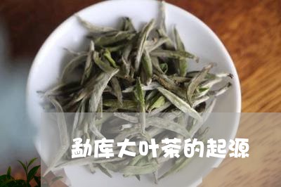 勐库大叶茶的起源/2023041440694