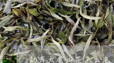 勐库大雪山茶怎么泡/2023031882825