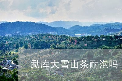 勐库大雪山茶耐泡吗/2023041404137