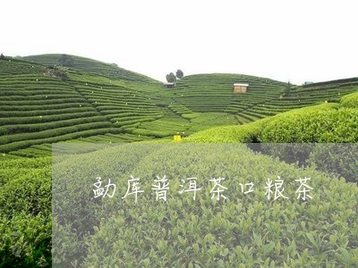 勐库普洱茶口粮茶/2023041357361