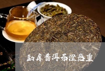 勐库普洱茶涩感重/2023032926069