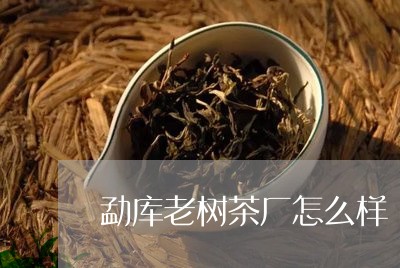 勐库老树茶厂怎么样/2023041647360