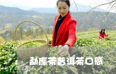 勐库茶普洱茶口感/2023041198281