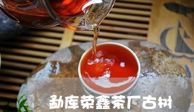 勐库荣鑫茶厂古树/2023032525827