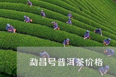 勐昌号普洱茶价格/2023041474948