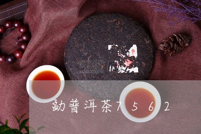 勐普洱茶7562/2023031655361