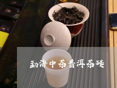 勐海中茶普洱茶砖/2023040919281