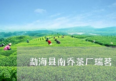 勐海县南乔茶厂瑞茗/2023032104946