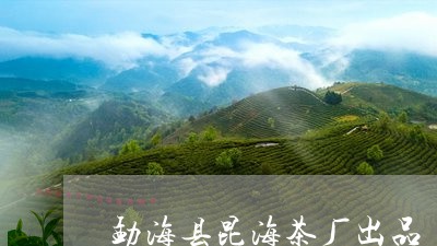 勐海县昆海茶厂出品/2023032117350