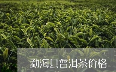 勐海县普洱茶价格/2023041344717