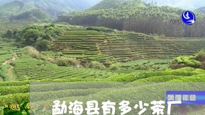 勐海县有多少茶厂/2023032585947