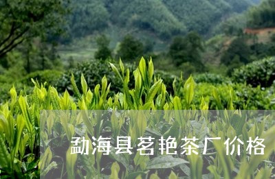 勐海县茗艳茶厂价格/2023032191393