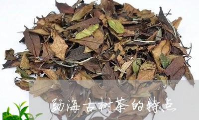 勐海古树茶的特点/2023032639615