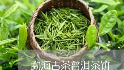 勐海古茶普洱茶饼/2023041193251