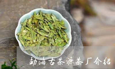 勐海古茶源茶厂介绍/2023032158473