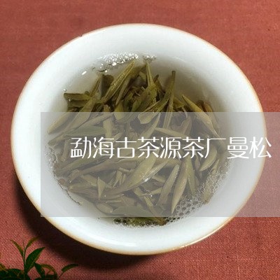 勐海古茶源茶厂曼松/2023041579493