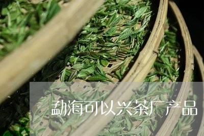 勐海可以兴茶厂产品/2023032108361