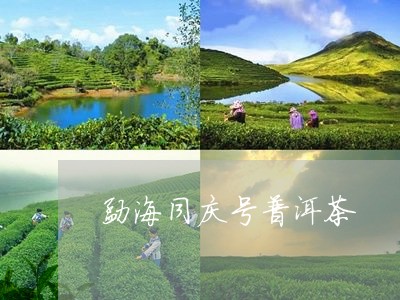 勐海同庆号普洱茶/2023040962807