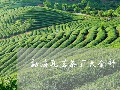 勐海孔茗茶厂大金针/2023032195148