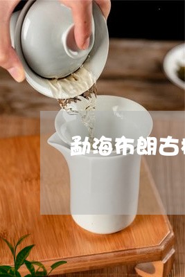 勐海布朗古树茶生茶/2023032103921