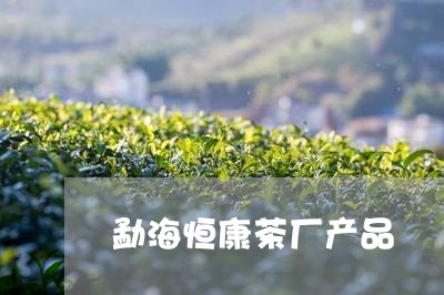 勐海恒康茶厂产品/2023032541614