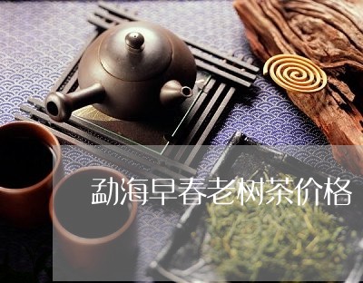 勐海早春老树茶价格/2023032120491