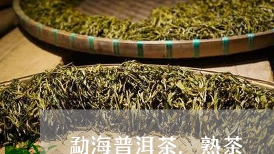 勐海普洱茶.熟茶/2023041267463