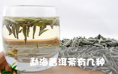 勐海普洱茶有几种/2023041081483