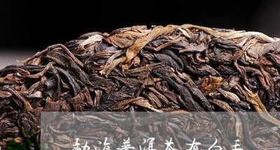 勐海普洱茶有白毛/2023040937271