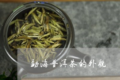 勐海普洱茶的外貌/2023040949381