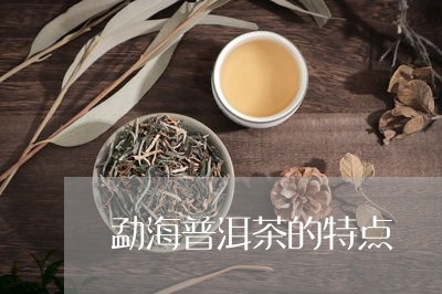 勐海普洱茶的特点/2023041365139